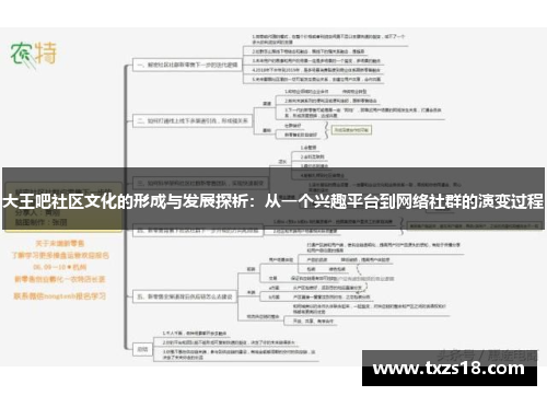 大王吧社区文化的形成与发展探析：从一个兴趣平台到网络社群的演变过程